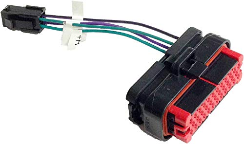 Hogtunes Rear Speaker Plug Output for Advance Audio