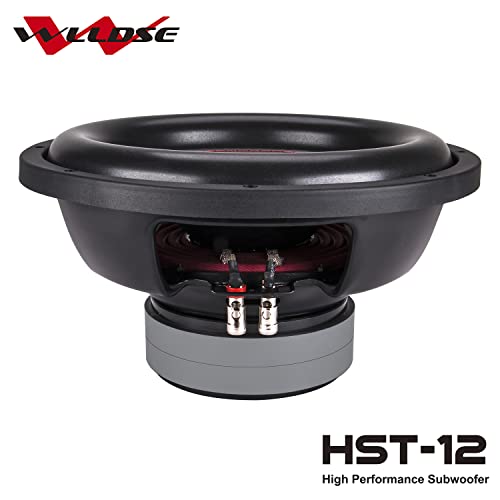 WLLDSE 12 inch 1200 Watt Peak Momentary Power Dual 2 Ohm Car Subwoofer, Black