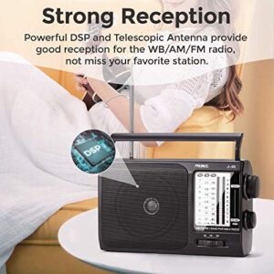 NOAA Weather AM FM Portable Radio with Best Reception, Transistor Radio, Battery Operated Radio by 3X D Cell Batteries or AC Power for Household & Outdoor, Plug in Wall by PRUNUS