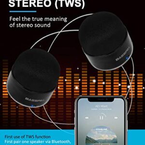 BassPal Portable Bluetooth Speakers, Small True Wireless Stereo (TWS) Speaker with Radio, IPX5 Waterproof, HD Sound & Enhanced Bass, Mini Pocket Size for Home Travel Shower Pool Beach Outdoor-2 Pack