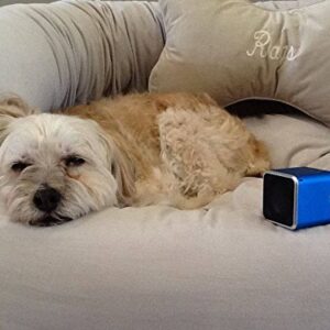 Pet Tunes Bluetooth Speaker Preloaded with Calming Canine Music