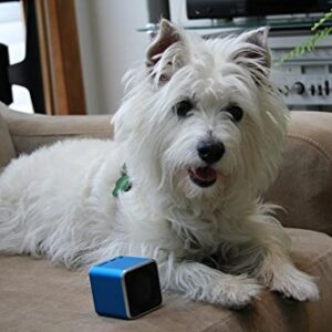 Pet Tunes Bluetooth Speaker Preloaded with Calming Canine Music