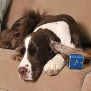 Pet Tunes Bluetooth Speaker Preloaded with Calming Canine Music