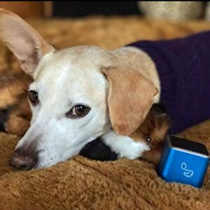 Pet Tunes Bluetooth Speaker Preloaded with Calming Canine Music