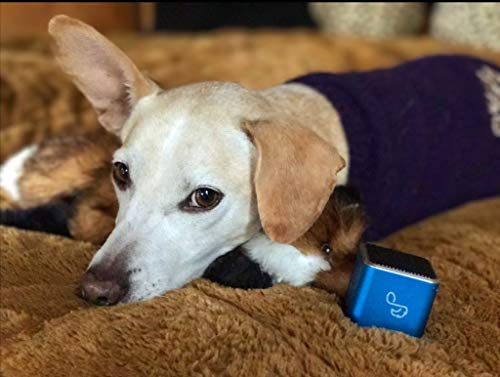 Pet Tunes Bluetooth Speaker Preloaded with Calming Canine Music