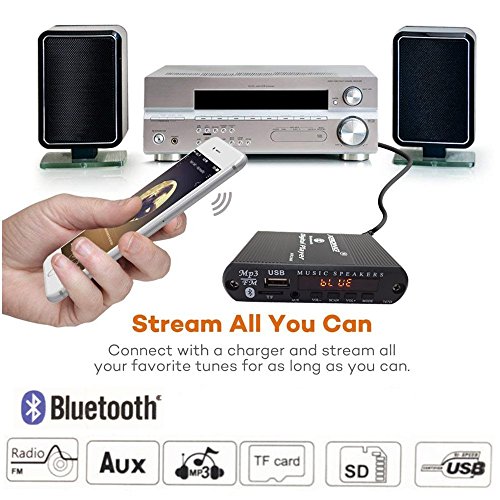 Bluetooth Audio Receiver FM Radio,MP3 Digital Player,LED 4-Digital Display,SD Card/USB Playback 3.5mm Audio Output(Black)