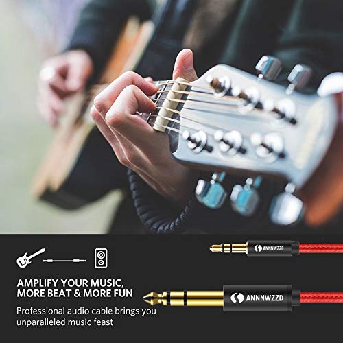 ANNNWZZD 3.5mm to 6.35mmTRS Stereo Audio Cable 10 Foot,6.35 1/4 Male to 3.5 1/8 Male Aux Jack -(10ft/10FT)