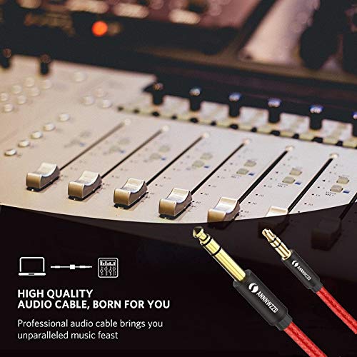 ANNNWZZD 3.5mm to 6.35mmTRS Stereo Audio Cable 10 Foot,6.35 1/4 Male to 3.5 1/8 Male Aux Jack -(10ft/10FT)