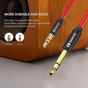 ANNNWZZD 3.5mm to 6.35mmTRS Stereo Audio Cable 10 Foot,6.35 1/4 Male to 3.5 1/8 Male Aux Jack -(10ft/10FT)