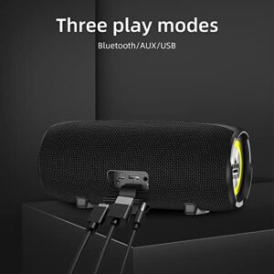 ROYQUEEN Bluetooth Speaker,30W Loud Stereo Sound Portable Speaker,Deep Bass,IP67 Waterproof and Dustproof,Wireless Dual Pairing,Built-in Mic,for Outdoor,Indoor