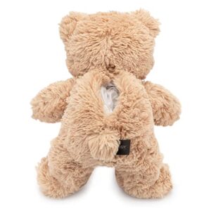 Inventiv Teddy Bear with Pouch, Easily Insert a Recordable Sound Module (Sold Separately), Plush Toy Stuffed Animal (Teddy Bear w/Pouch)