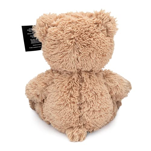 Inventiv Teddy Bear with Pouch, Easily Insert a Recordable Sound Module (Sold Separately), Plush Toy Stuffed Animal (Teddy Bear w/Pouch)