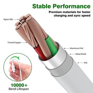 Jelanry USB C Cable USB Type C Cable, 120W HyperCharge Turbo Charging, 6A Fast Charging for Xiaomi Pad 5 12 Pro 12 12X 11T Pro 11 Lite 5G NE, Redmi 10 2022 Note 11 Pro 5G Note 11 / 11s, 6.6ft 1Pack