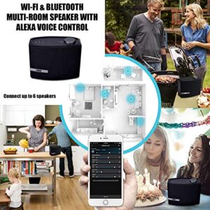 Naxa Electronics NAS-5001 Wi-Fi & Bluetooth Multi-Room Speaker with Amazon Alexa Voice Control Compatible with iPhone & Android Devices Black