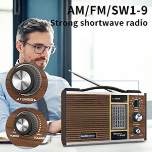 Portable Shortwave Radio AM/FM/SW1-9 Radio Transistor Radio AC or Battery Operated with Best Reception Big Speaker and Precise Tuning Knob with 3.5mm Earphone Jack