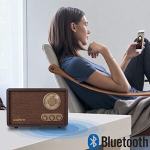 LoopTone FM AM Radio Retro Wood Radio with Bluetooth Play Mp3 and Antenna Built in Speaker for Kitchen Living Room