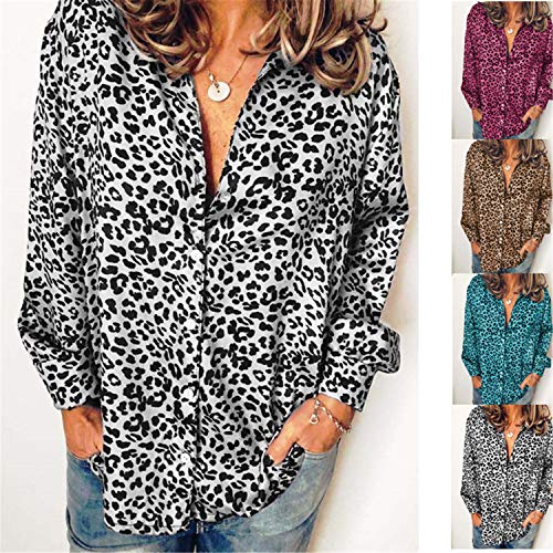 Andongnywell Women's Casual Leopard Print V Neck Long Sleeve Button Long Sleeve Blouse t Shirts for Ladies (White,1,Small)