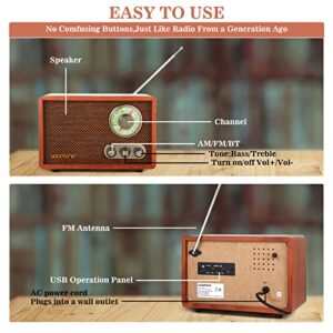 LoopTone USB SD Multifunction AM FM Vintage Radio with Bluetooth Speaker,Retro Wood Table Radio for Kitchen Living Room with Rotary Knob