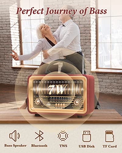 PRUNUS Retro Bluetooth Radio with Rich Bass Speakers,Loud Stereo Sound,Portable Wireless Speakers AM FM Radio with USB, TWS Pairing, BT5.0, TF Card & MP3 Player for Home/Party/Outdoor/Gift
