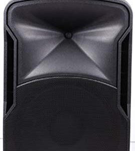 Edison Professional St-3000 Multi-Function Loud Speaker and PA System, Black ST3000