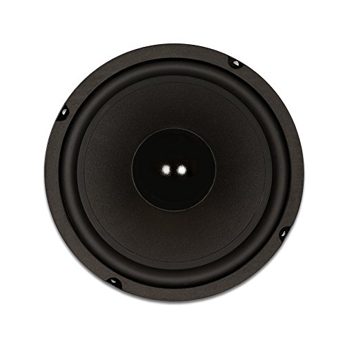 Goldwood Sound GW-8028 Rubber Surround 8" Woofer 190 Watts 8ohm Replacement Speaker