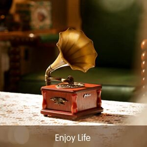 Eikosch Portable Bluetooth Speakers, Mini Phonograph, USB Music Player, Home and Entertainment Decorations, Holiday, Party and Birthday Gifts. …