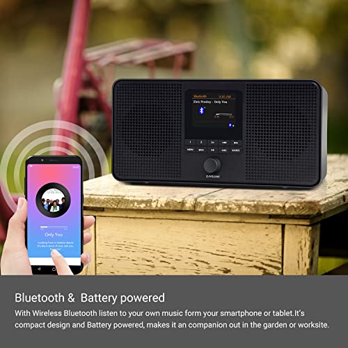 LEMEGA IR4S Stereo WiFi Internet Radio,FM Digital Radio, Spotify Connect, Bluetooth Speaker, Dual Alarms Clock, 40 Presets, Headphone-Output, Batteries or Mains Powered – Black Finish