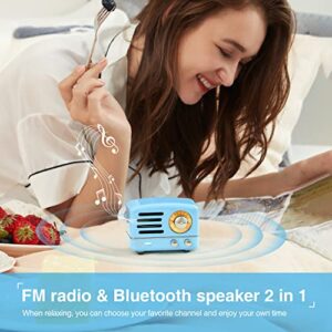 Muzen OTR Metal Portable Bluetooth Speaker with Retro knob Tuner FM Radio, Also with Suitcase Gift Case, Wireless Bluetooth Speaker with Loud Stereo Sound, for Home Outdoor Travel