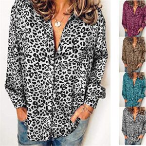 Andongnywell Women's V Neck Chiffon Blouses Tops Long Sleeve Leopard Shirts Blouse t Shirts for Ladies (Blue,5,XX-Large)