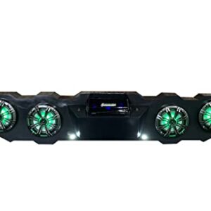 SD PIONEER1KRGB - Pioneer 1000 Stereo Radio System BT UTV Side by Side Color Changing Lights