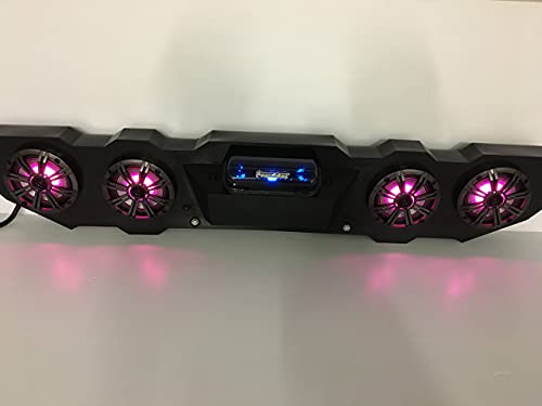 SD PIONEER1KRGB - Pioneer 1000 Stereo Radio System BT UTV Side by Side Color Changing Lights