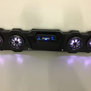 SD PIONEER1KRGB - Pioneer 1000 Stereo Radio System BT UTV Side by Side Color Changing Lights