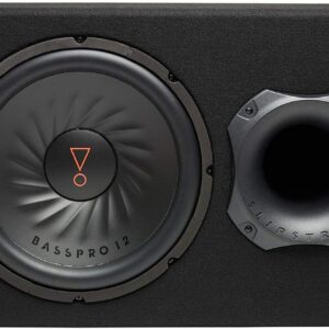 JBL GT-BassPro12 12-Inch (300mm) Car Audio Powered Subwoofer System, black