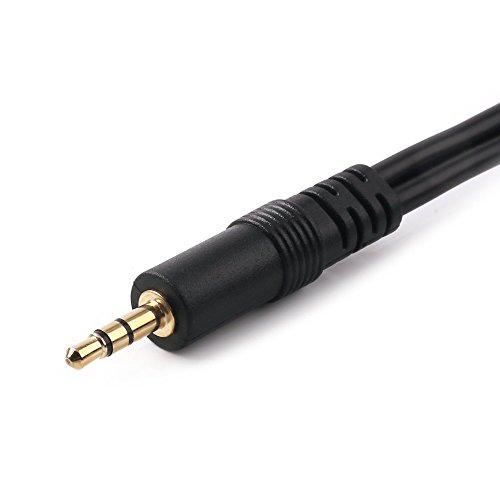 NANYI 3.5mm Male Stereo TRS to Two 6.35mm (1/4 inch) TS Female Stereo Breakout Cable, Y Splitter Adapter Cable 1FT / 0.3M