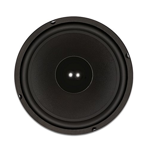 Goldwood Sound GW-1034 Rubber Surround 10" Woofer 250 Watts 4ohm Replacement Speaker