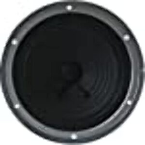 asa heavy duty 5.25″ entry level speaker