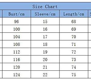 Andongnywell Women's V-Neck Short Sleeve Tunic Tops Chiffon T-Shirt Blouse Tunics Shirt Lapel Short Sleeve Shirt (Dark Blue,10,7X-Large)