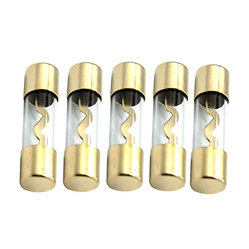 Etopar 5 X 100A AGU Fuse Car Auto Audio Power Safety Protect Glass Tube Gold Plated Radio