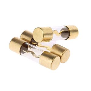 Etopar 5 X 100A AGU Fuse Car Auto Audio Power Safety Protect Glass Tube Gold Plated Radio