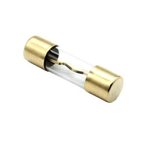 Etopar 5 X 100A AGU Fuse Car Auto Audio Power Safety Protect Glass Tube Gold Plated Radio