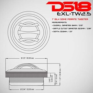 DS18 TW2.5 Tweeter 2.5-inch Diameter 1-inch Voice Coil Extremely Loud Series 100 Watts Max Silk Dome Ferrite Tweeter Ferro Fluid Sound Quality - Set of 2 (Black)