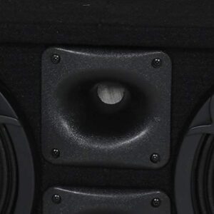 Q Power Chuchero Dual Pre Loaded 10 Inch Speaker Sub Box Enclosure w/ 2 Tweeters