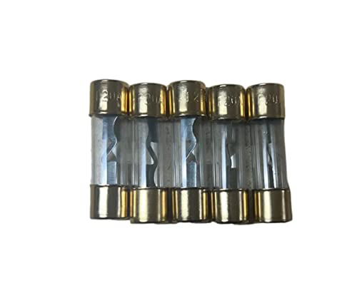 IMC Audio 30 Amp AGU Glass Fuse 30A Gold Inline for Car Audio Stereo Amplifier Marine Audio Auto Power Protection 30 Amp Fuses Automotive Protect Your System with This 5 Pack of 30 Amp AGU Glass Fuse