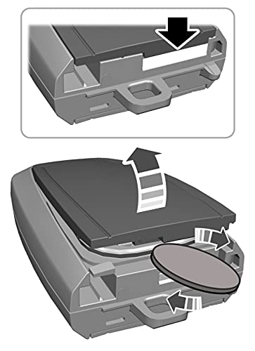 Key Fob Battery Replacement Compatible with Ford F-Series (F-150 F-250 F-350 F-450, F-550) (2018-2021 Smart Key (CR2450 Battery))