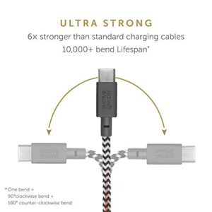 Native Union Type-C Belt Cable - USB-C to USB-C 4ft Ultra-Strong Charging Cable Compatible with iPad Pro 2018-21, iPad Air 5, Microsoft Surface Go 3, Google Pixel 6, Samsung Galaxy S22 (Zebra)