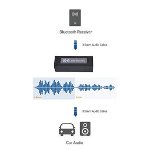 Cable Matters Ground Loop Isolator 3.5mm Noise Isolator Hum Eliminator for Car Audio and More