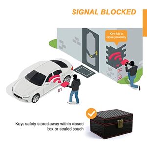 Car Key Faraday Box - RFID Signal Blocking Shielding Box and Key Fob Protector for Anti-Theft and Security