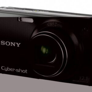 Sony Cyber-shot DSC-W290 12.1 MP Digital Camera with 5x Optical Zoom and Super Steady Shot Image Stabilization (Black) (Discontinued by Manufacturer)