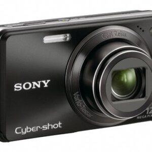 Sony Cyber-shot DSC-W290 12.1 MP Digital Camera with 5x Optical Zoom and Super Steady Shot Image Stabilization (Black) (Discontinued by Manufacturer)