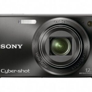 Sony Cyber-shot DSC-W290 12.1 MP Digital Camera with 5x Optical Zoom and Super Steady Shot Image Stabilization (Black) (Discontinued by Manufacturer)